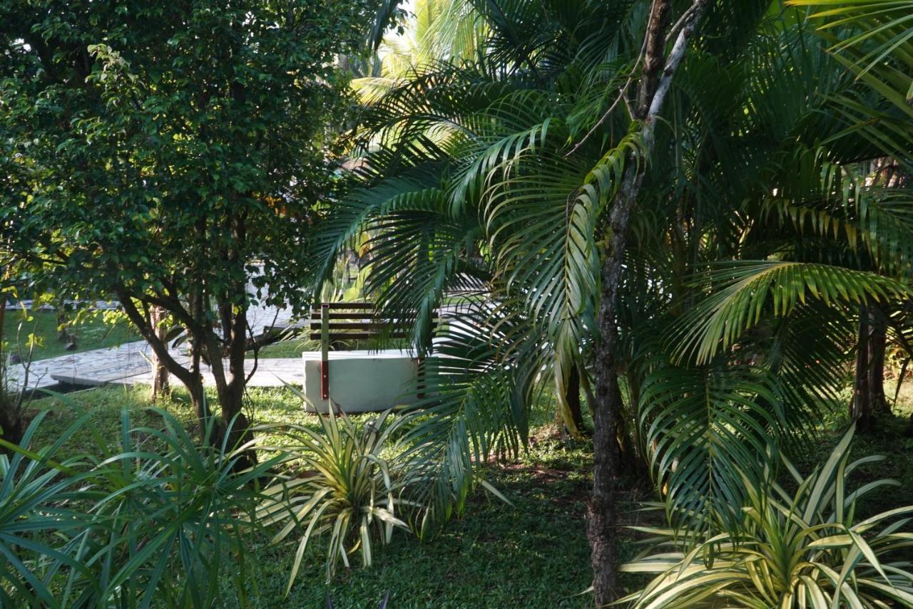 Red Coconut Villa Bentota Dış mekan fotoğraf