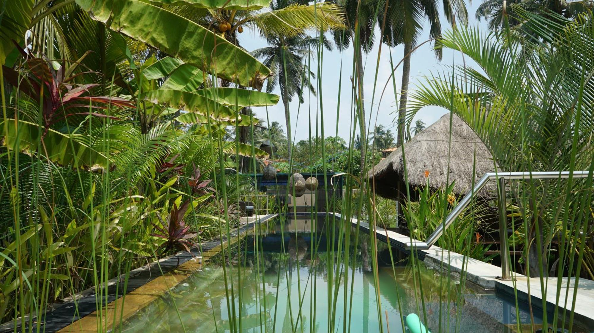Red Coconut Villa Bentota Dış mekan fotoğraf