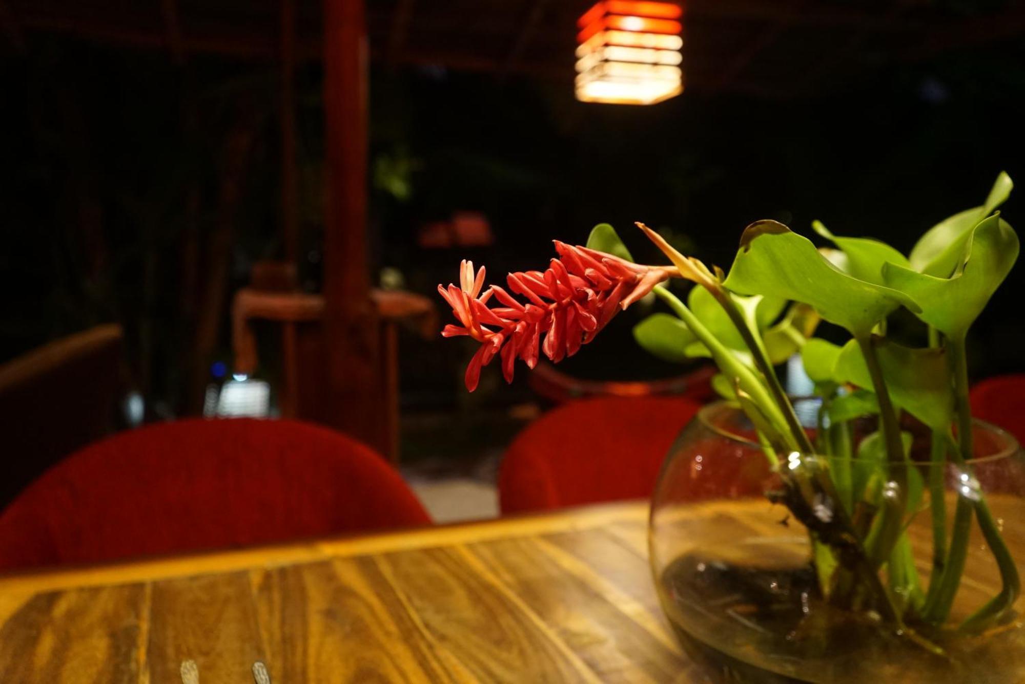 Red Coconut Villa Bentota Dış mekan fotoğraf