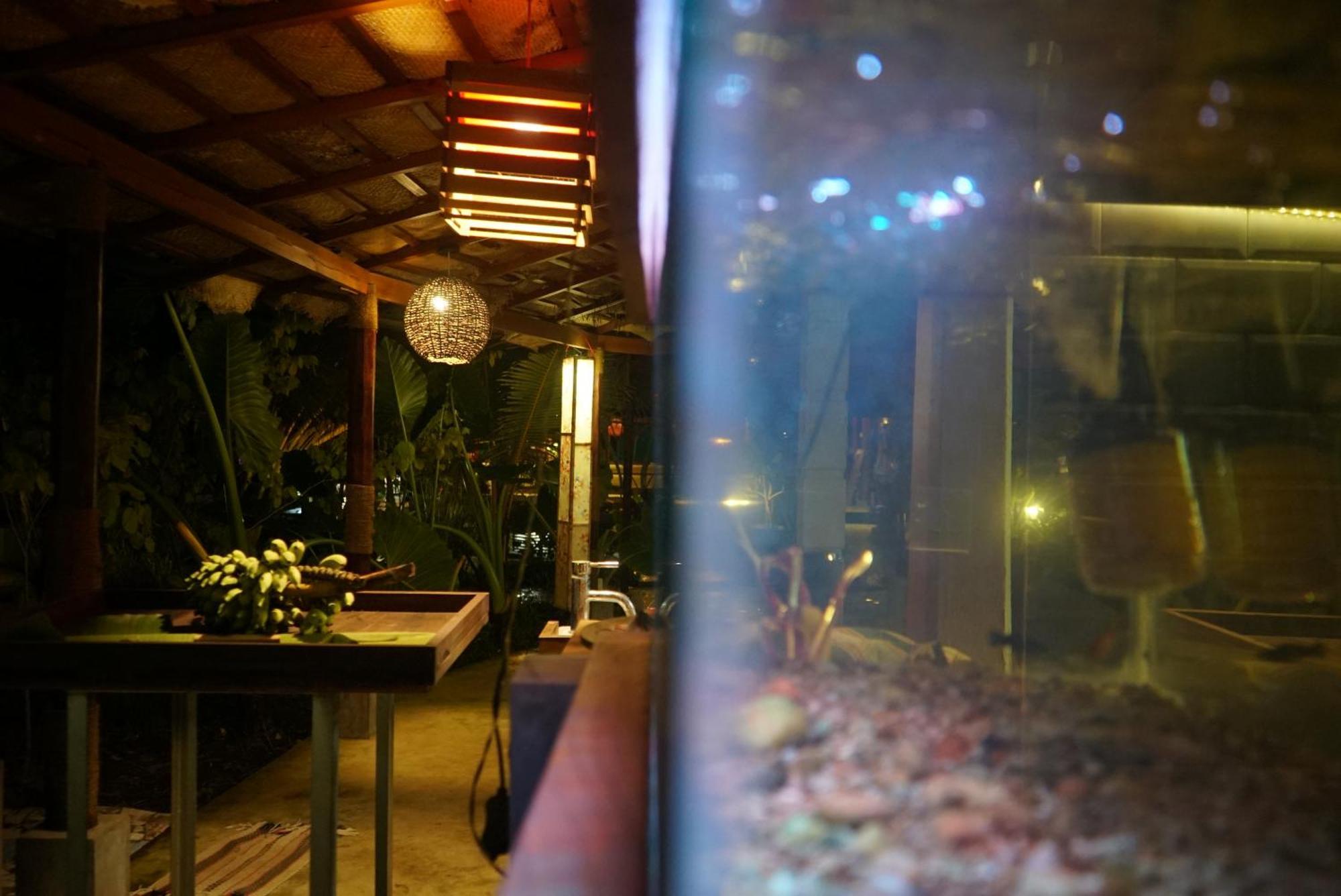 Red Coconut Villa Bentota Dış mekan fotoğraf