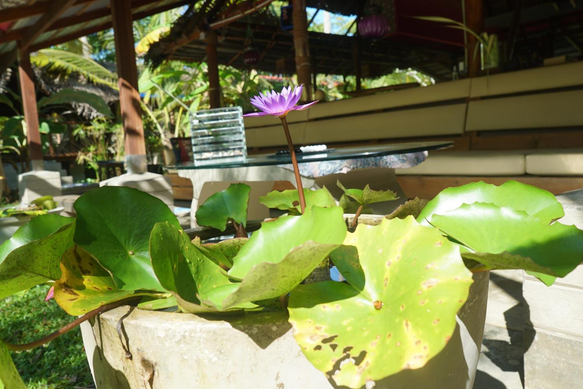 Red Coconut Villa Bentota Dış mekan fotoğraf