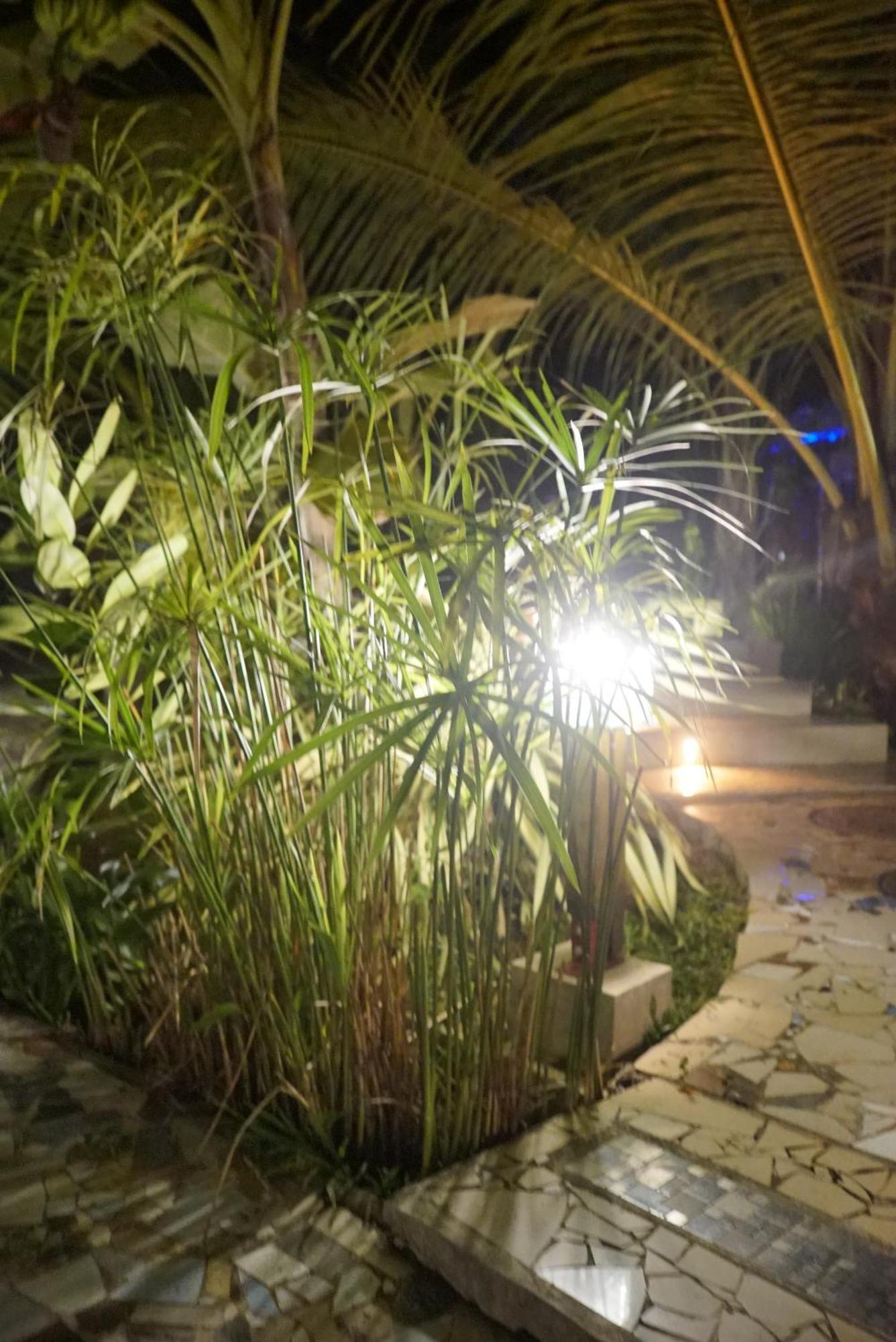 Red Coconut Villa Bentota Dış mekan fotoğraf