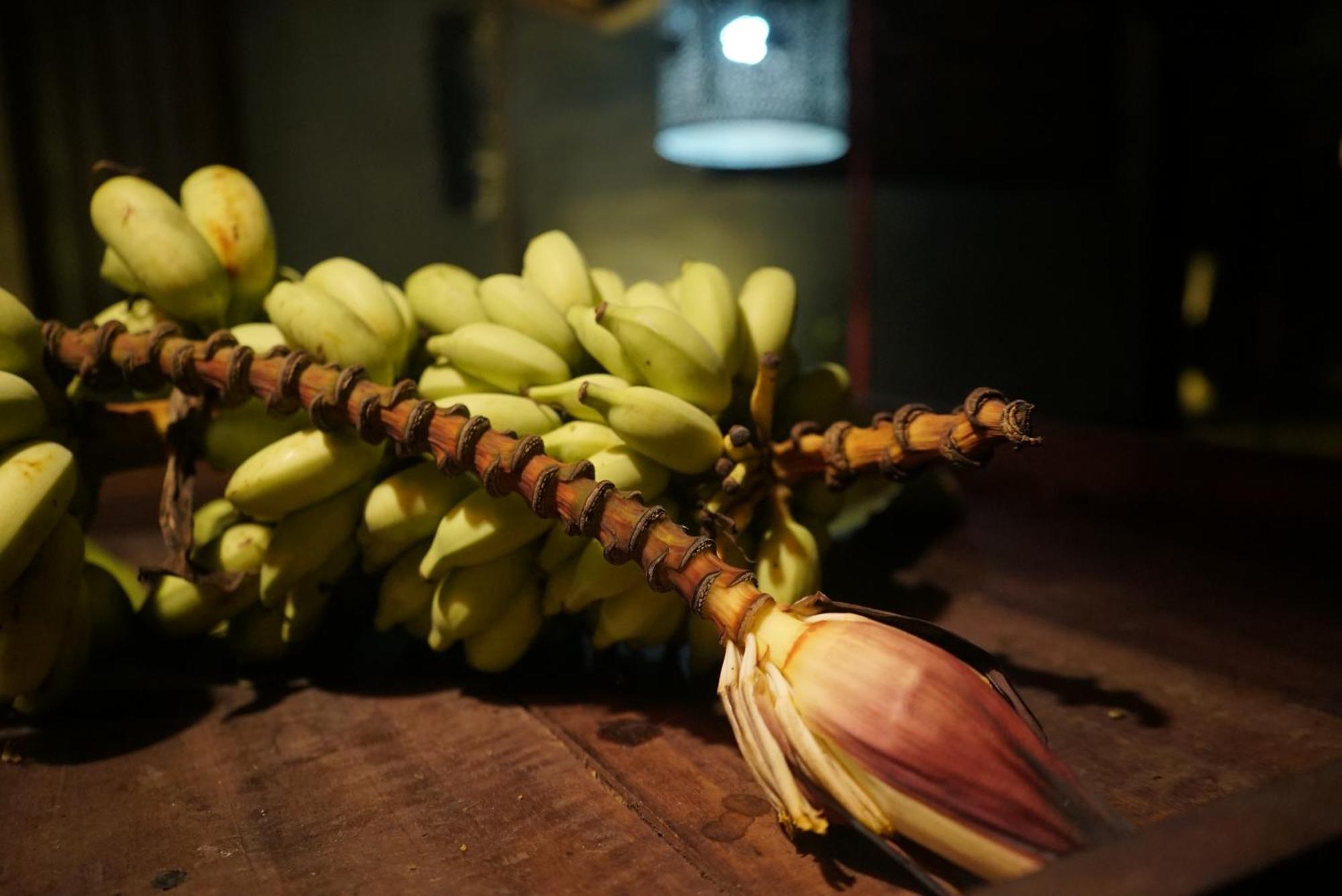 Red Coconut Villa Bentota Dış mekan fotoğraf